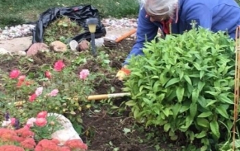 MaryGarden
