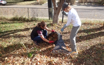 raking-hub-day