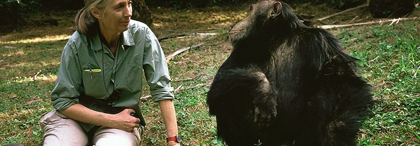 May Zoom Meeting – Dr. Jane Goodall